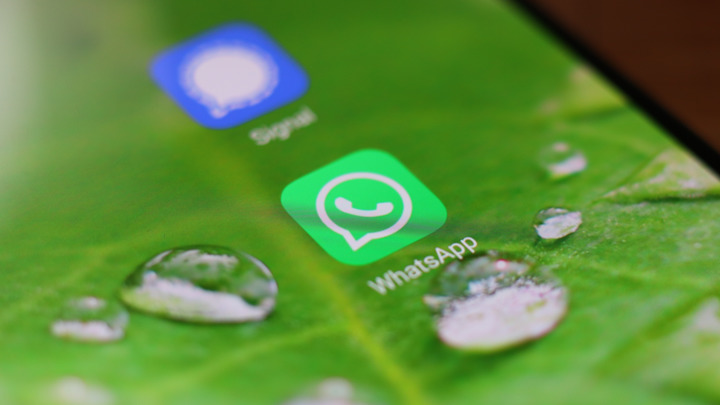 В России заявили о проблемах с WhatsApp: Пользователи заметили интересный факт