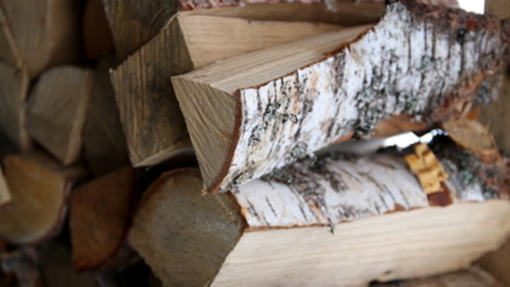 Меры борьбы с чёрными лесорубами обсудили на Кубани