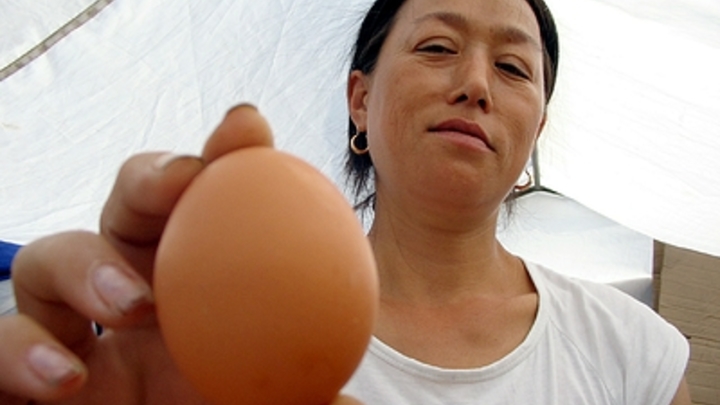 Врач назвала три опасные диеты: От проблем с ЖКТ до камней в почках