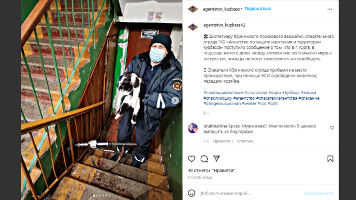 В Кузбассе спасатели вызволили застрявшего между лестничными маршами кота