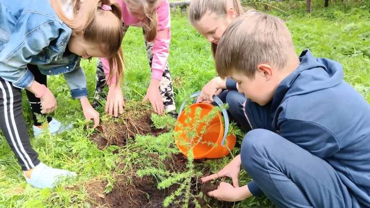 В новом учебном году в школы Поморья вернут трудовое воспитание