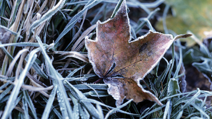 И заморозки, и резкое потепление: Вильфанд дал прогноз погоды по России на неделю