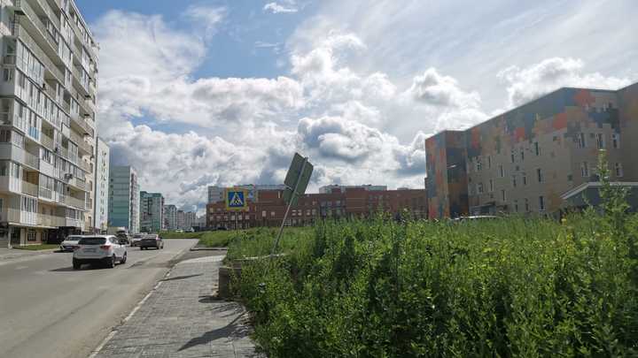В Новосибирске возбудили дело о фальсификации голосования на выборах управляющей компании