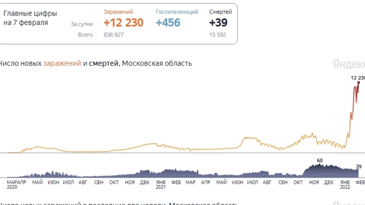 С начала пандемии в Королеве переболел коронавирусом каждый пятый житель