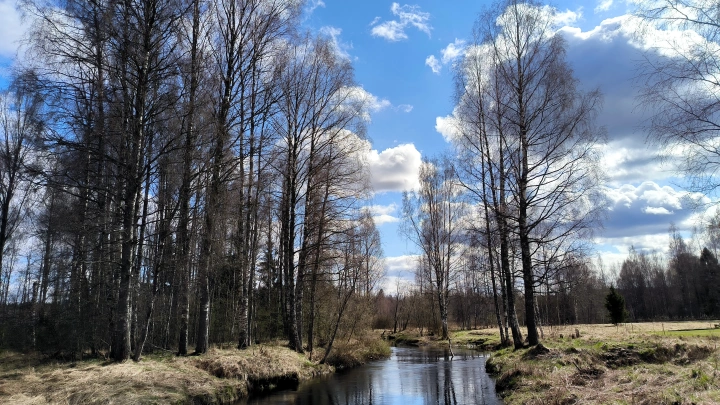 Почему за поисками Усольцевых так долго следит вся страна, объяснила психолог