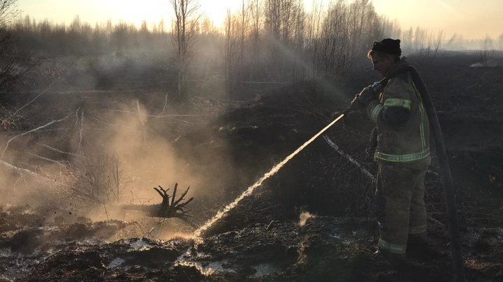 Пожарные четвертые сутки борются с торфяным пожаром под Северодвинском