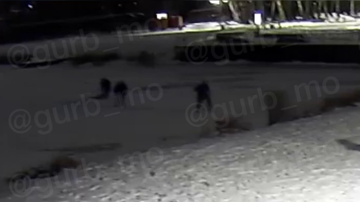Житель Балашихи провалился под лед на велосипеде