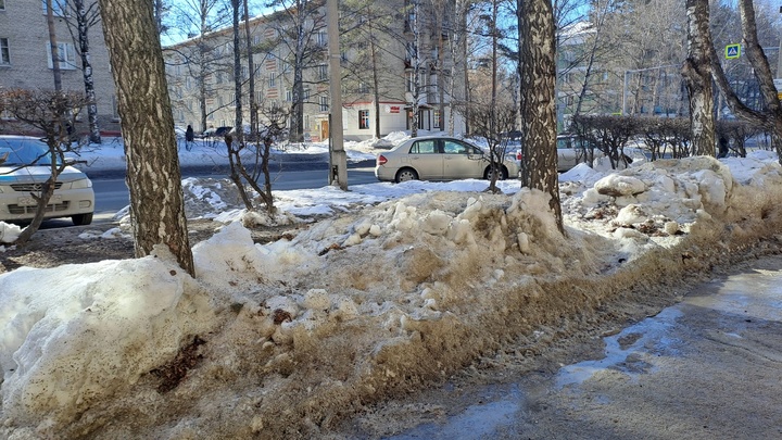 В Новосибирской области на следующей неделе ожидается потепление до +12 градусов