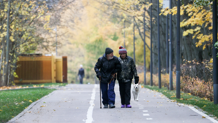 Учёные выяснили, сколько времени нужно работать пожилым в неделю