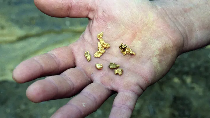 Француз нашёл сокровища на своей земле, но власти поставили крест на его мечтах о богатой жизни