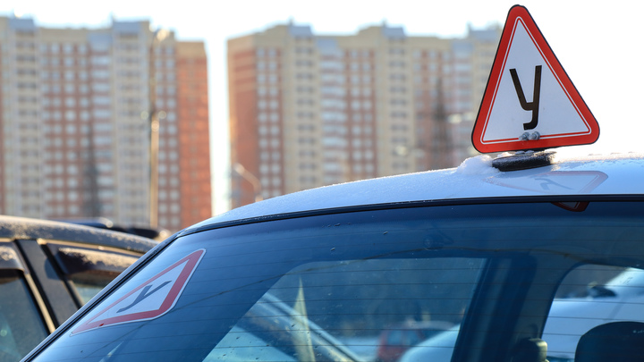 Права экстерном: почему в Петербурге проводят масштабные обыски в автошколах и МРЭО