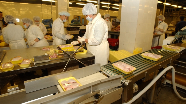 Отстрел дикой птицы ведётся на нижегородской фабрике