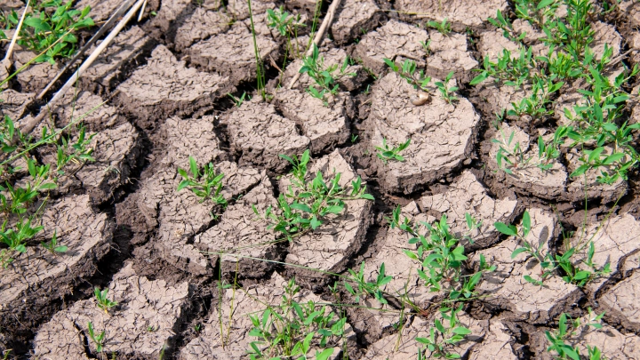 Эксперты рассказали, грозит ли Сочи в ближайшее время землетрясение