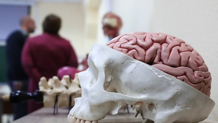 Апокалипсис от искусственного интеллекта, или почему человечество недооценивает катастрофические риски