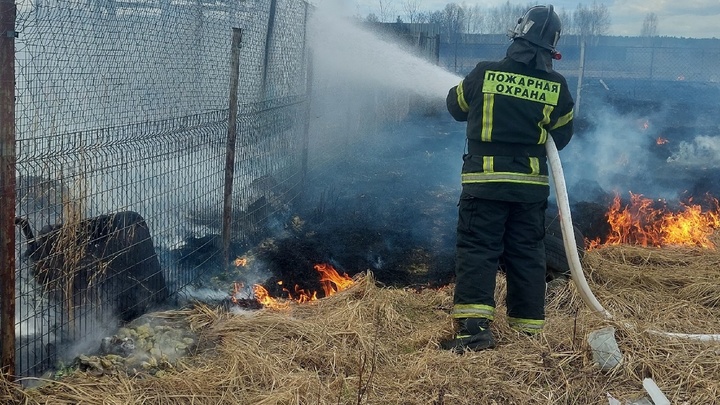 Под Карабаново спасатели потушили пал травы на площади 100 квадратных метров