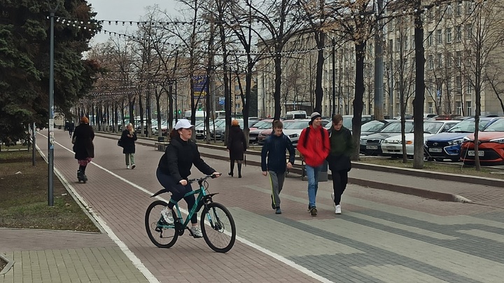 В Челябинской области заморозки задерживают дачный сезон