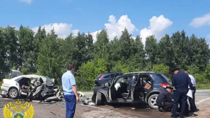 Детский омбудсмен рассказала о судьбе выжившей в ДТП под Новосибирском девочки