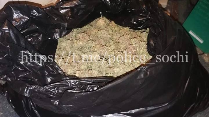 В Сочи правоохранители изъяли у нарко-бизнесмена 4 кг марихуаны