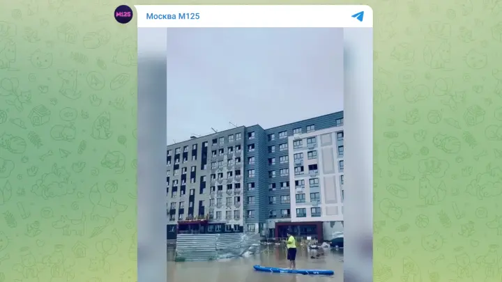 Приплыли: подмосковный автовладелец отправился на парковку на сапе