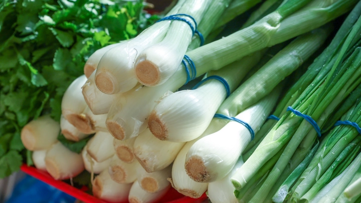Зелёный лучок с грядки может оказаться смертельно опасным. Как и петрушка с салатом