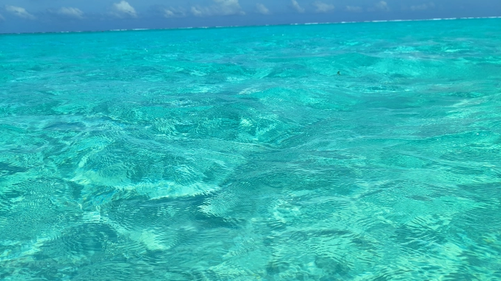 Мировой океан темнеет: свет проникает на 50 метров меньше