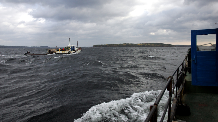 Капитана японской шхуны, столкнувшейся с Амуром, подозревают в халатности
