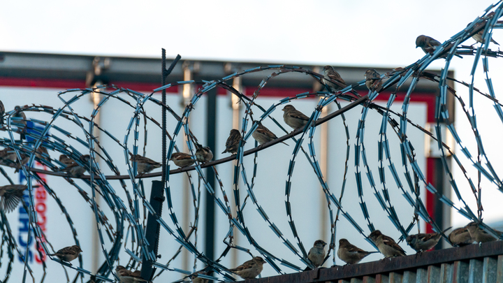 Предателя накажут: МВД разыскивает экс-зампреда ЦБ Алексашенко*