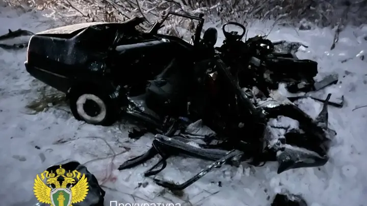 Уголовное дело завели после ДТП с шестью погибшими на трассе под Новосибирском