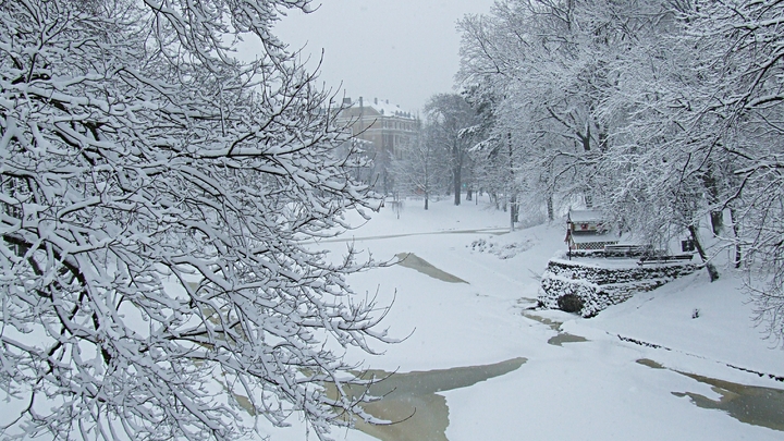 Мокрый снег, метель и ураганный ветер: на Кубани ожидается ухудшение погодных условий