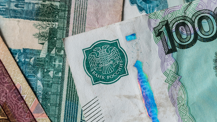 Для многодетных семей в России могут внедрить налоговые льготы