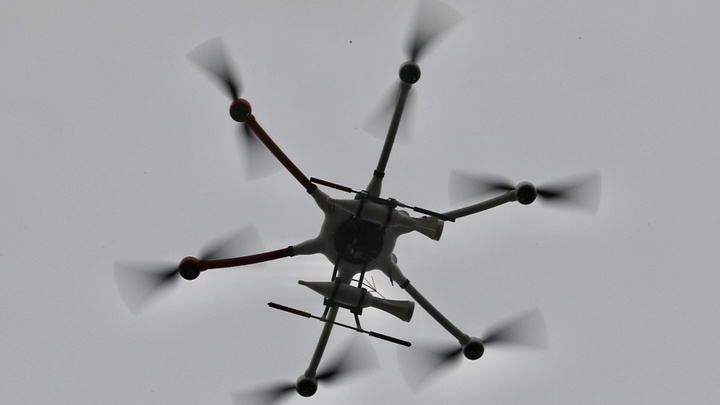 В Анапе для борьбы с комарами выделят беспилотники