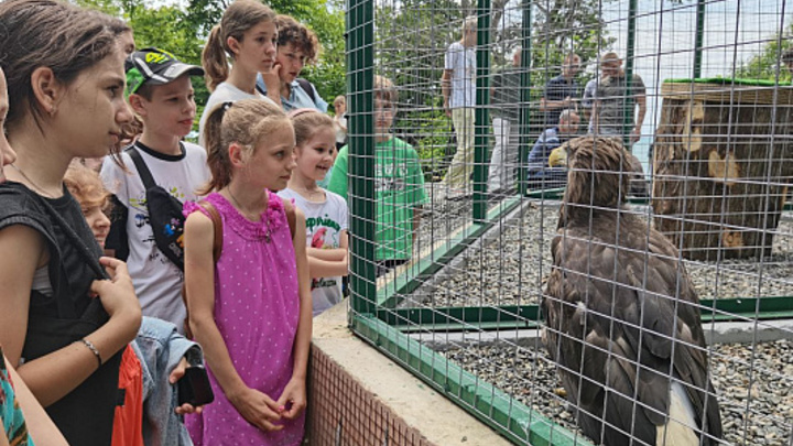 Центр экологического просвещения открыли на территории Сочинского географического общества