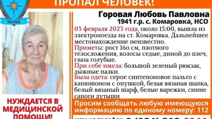 81-летняя пенсионерка с лыжными палками пропала под Новосибирском