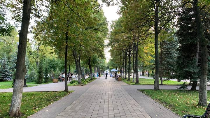 Власти Самары ищут фирму для сезонного благоустройства Октябрьского района