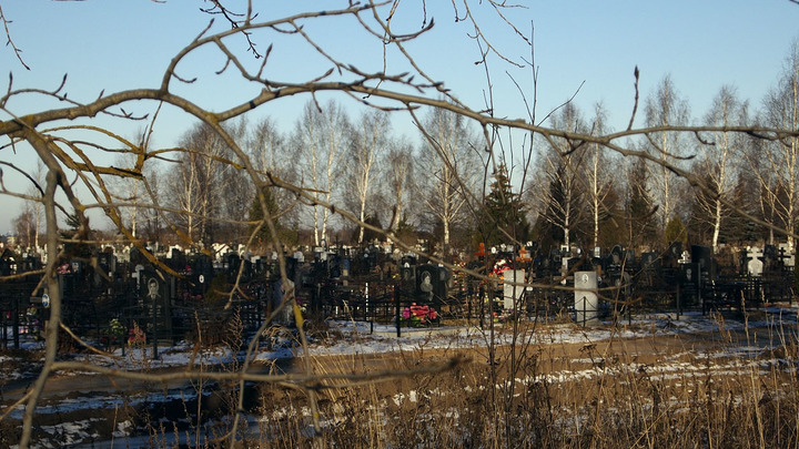 Жители посёлка Сокол Суздальского района протестуют против нового кладбища