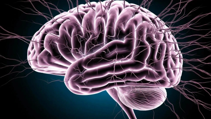 Ученые нашли новую причину гибели нейронов при деменции