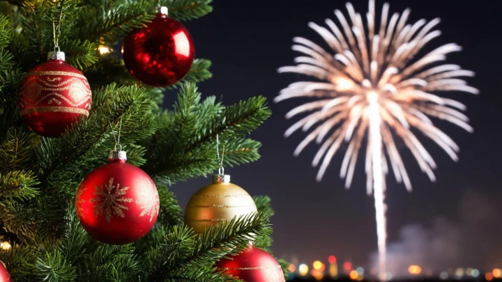 Штраф, срок и кое-что ещё: Топ-3 самых диких ограничений к Новому году