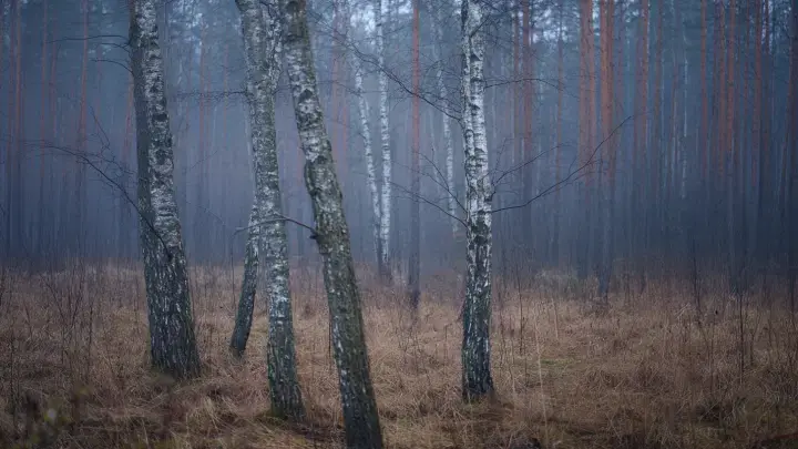 Охотник принял его за дикого зверя. На Урале погиб сотрудник МЧС – ранение оказалось смертельным