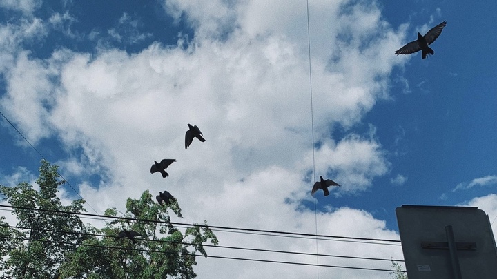 В Самарской области ударят ночные заморозки