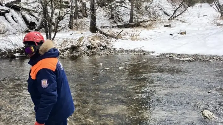 Что нашли? Детали новой фазы поисков Усольцевых в тайге