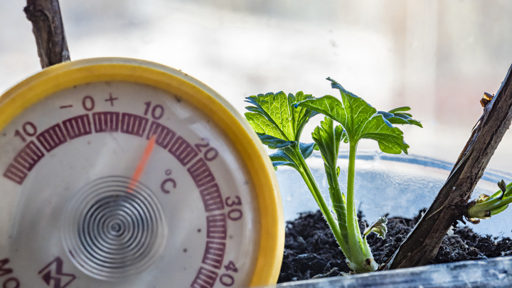 В Краснодарском крае потеплеет до +25 градусов