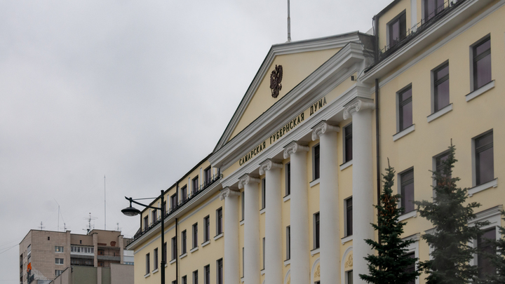 В Самарской губдуме прокомментировали закон о поддержке многодетных