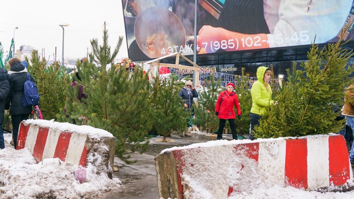 В Нижнем Новгороде после празднования Нового года появились ёлочные свалки