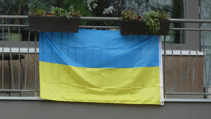 Житель Израиля жёстко высказался о беженцах с Украины: Вам тут что, свалка?!