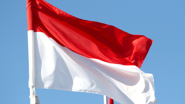 Индонезия объяснила отказ подписать коммюнике по Украине его неэффективностью