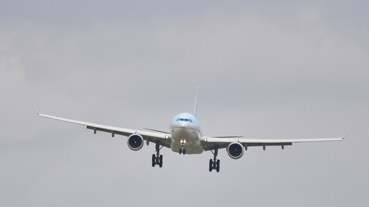 В Сочи задержали авиадебошира, устроившего на борту потасовку