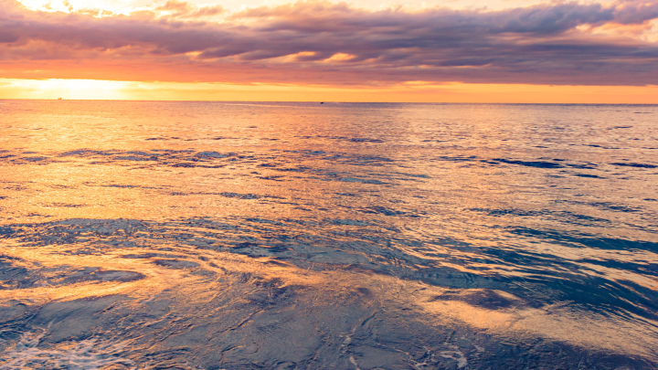 Граница на замке: у туристов из России возникли проблемы в Таиланде