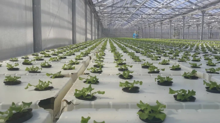 Если война затянется: Индия срочно потребовались русские удобрения