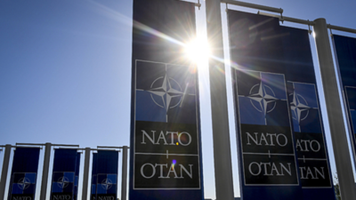 Лучший способ развалить НАТО: В Сети оценили заявление Трампа о возможном членстве Бразилии
