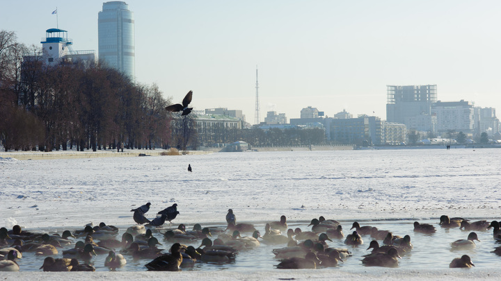 МЧС продлило штормовое предупреждение в Свердловской области на 16 января